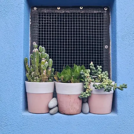 Villacolle Casa de hóspedes