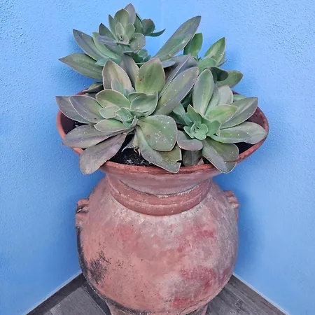 Casa de hóspedes Villacolle