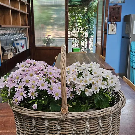 Villacolle Guest house