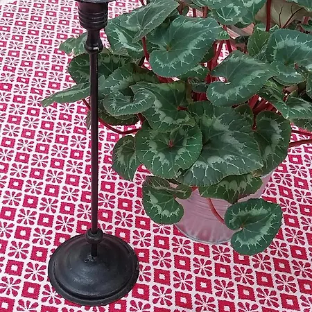 Guest house Villacolle