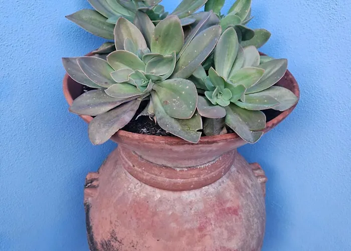 بيت ضيافة Villacolle