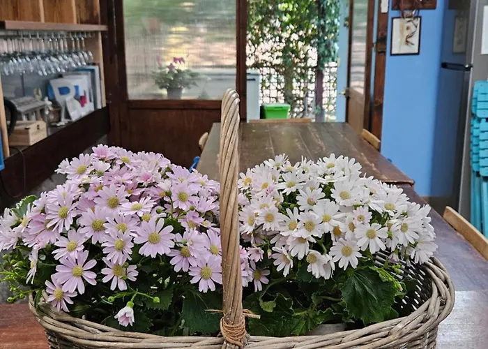 Villacolle Pensjonat